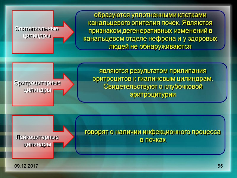 09.12.2017 55 Эпителиальные цилиндры  образуются уплотненными клетками канальцевого эпителия почек. Являются признаком дегенеративных